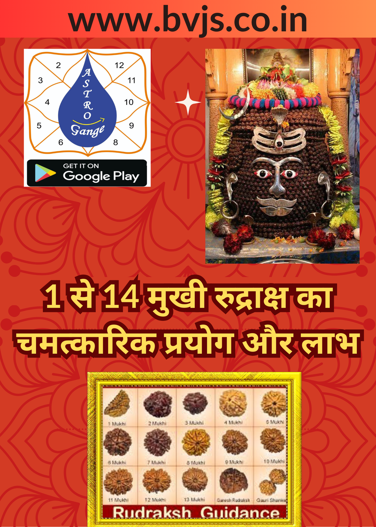 1  से  14  मुखी रुद्राक्ष का चमत्कारिक प्रयोग और लाभ