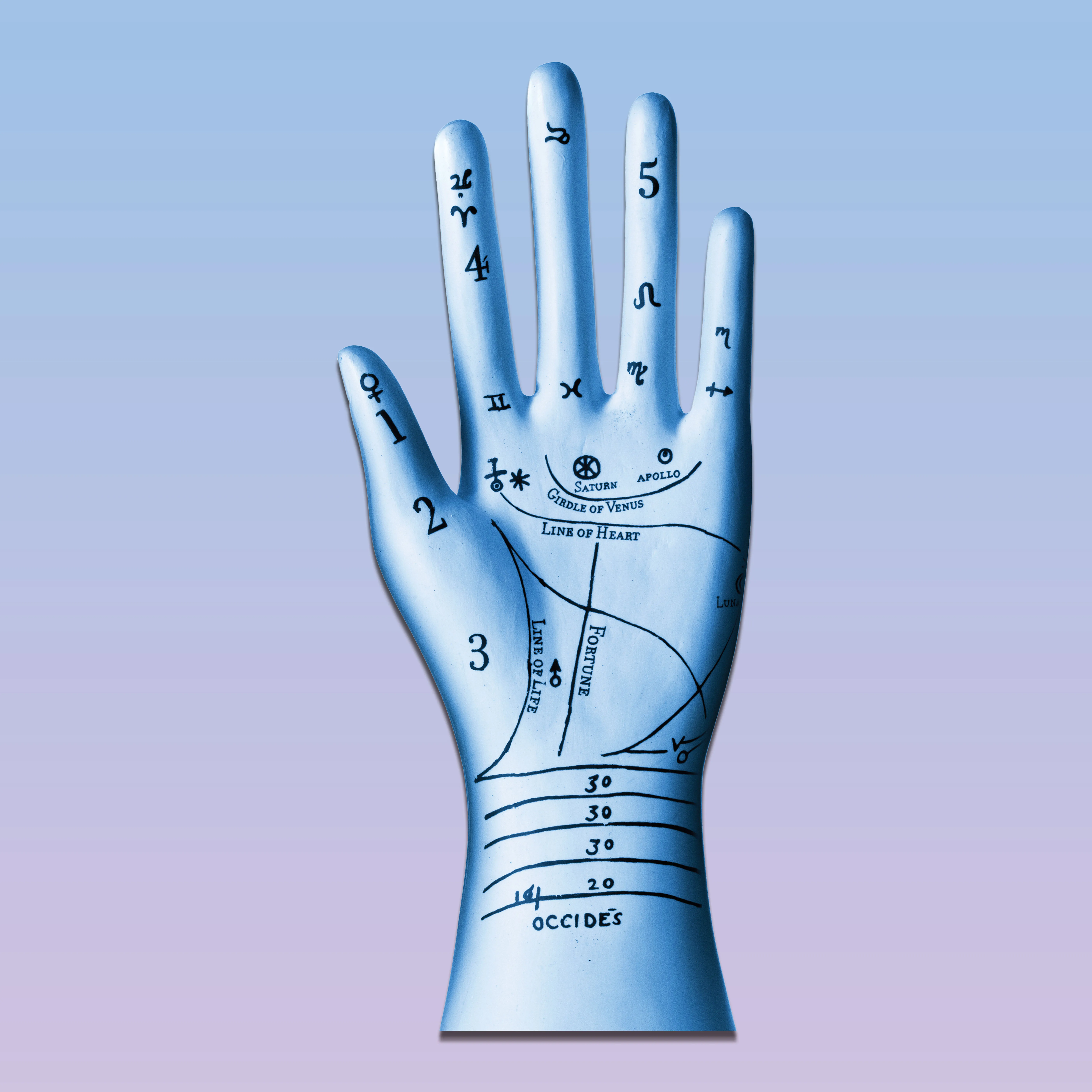 Palmistry