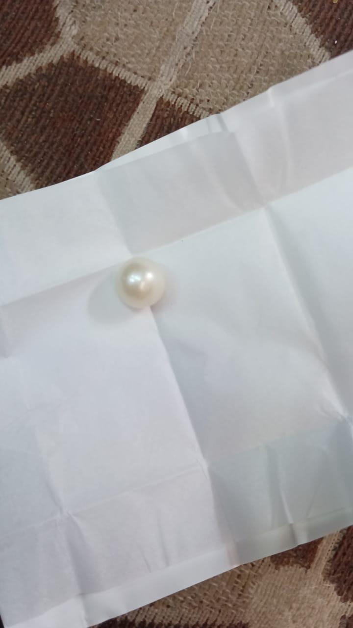 Real pearl (mukta,moti)