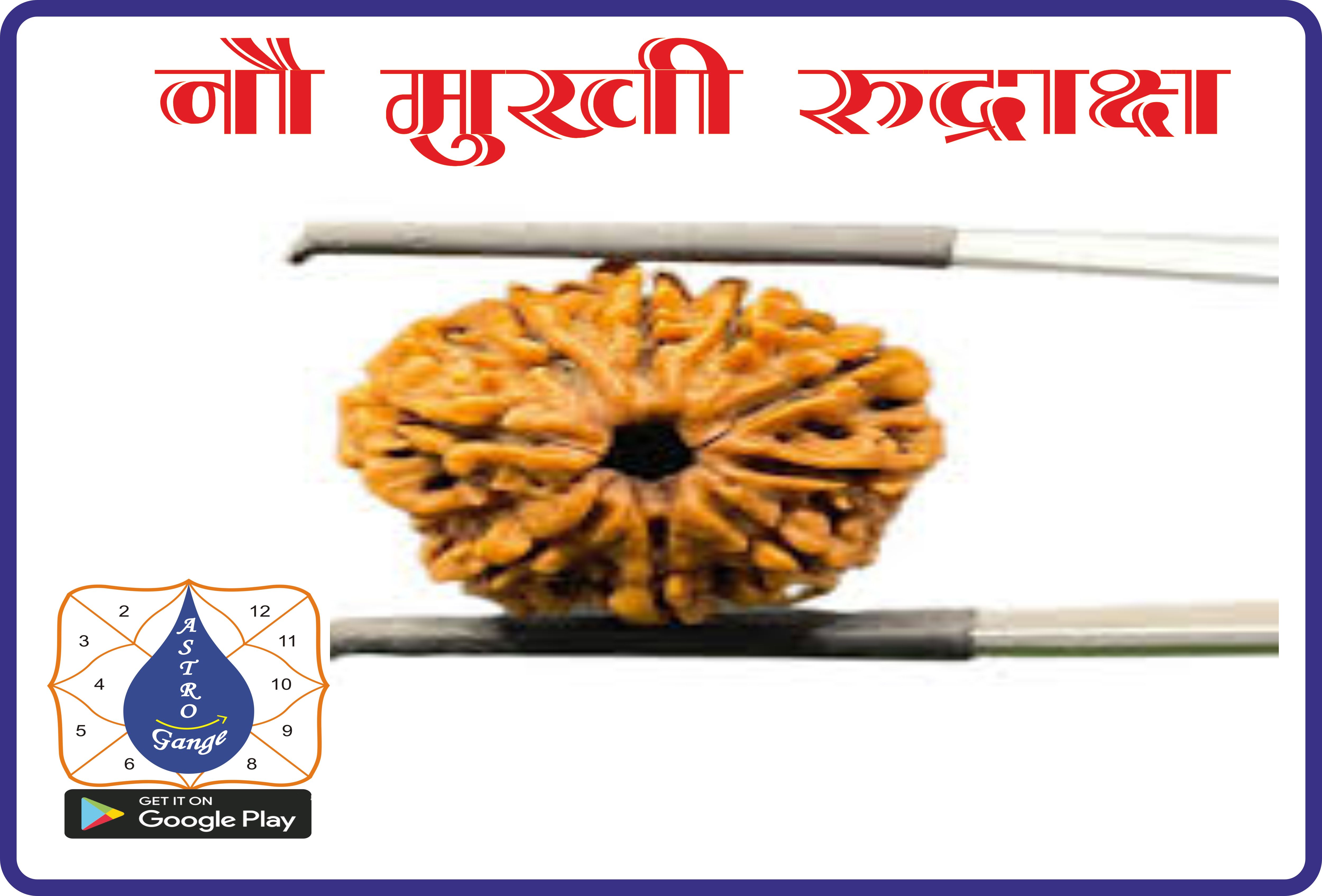 9 mukhi rudraksh