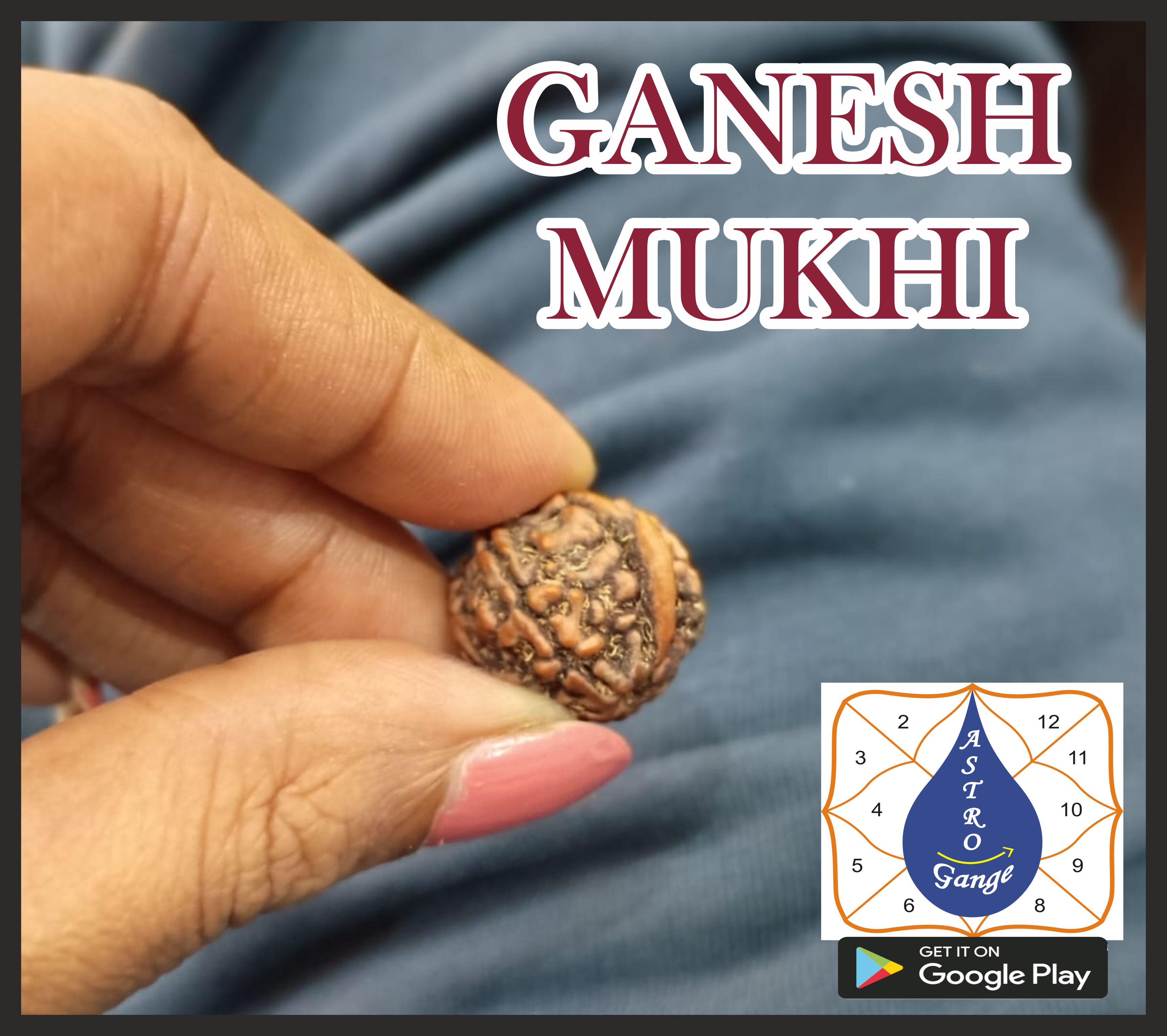 Ganesh rudrax