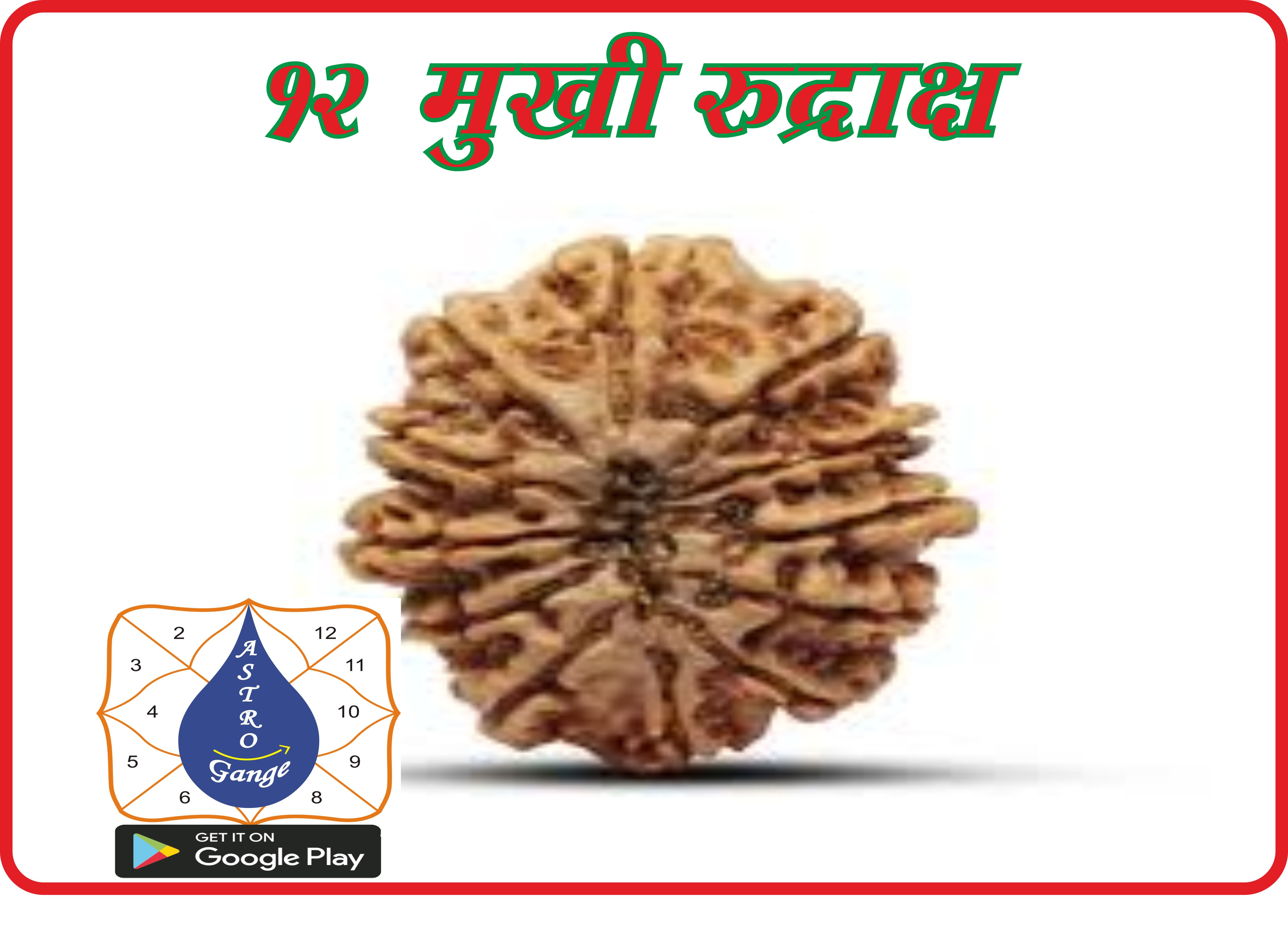 12  mukhi rudraksh