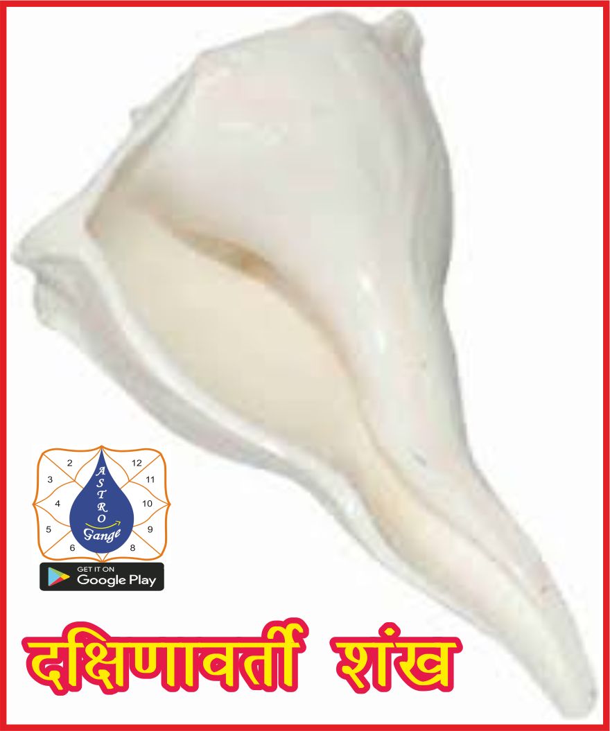 dakshinawarti shankh